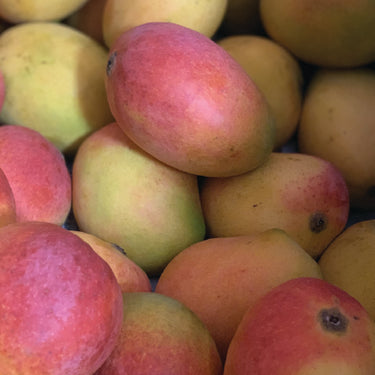 Mango - Sindhuri